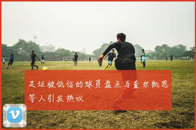 足坛被低估的球员盘点马奎尔凯恩等人引发热议