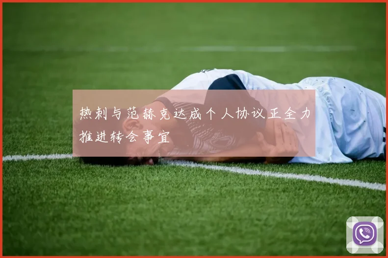 热刺与范赫克达成个人协议正全力推进转会事宜