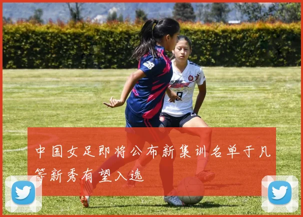 中国女足即将公布新集训名单于凡等新秀有望入选