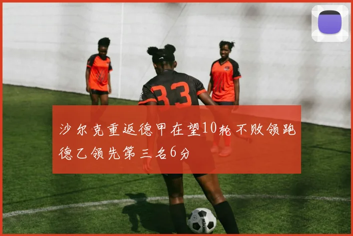 沙尔克重返德甲在望10轮不败领跑德乙领先第三名6分